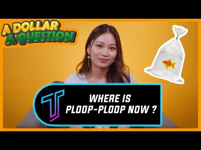 "Where is Ploop Ploop?" - Grace