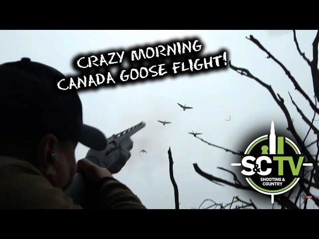 S&C TV | Canada goose control mission! Superb morning flight