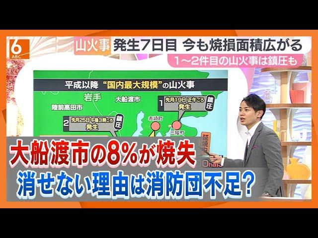 【解説】日本の山火事は「3分の2以上が人為的なもの」　“大規模化”につながる要因は…　岩手・大船渡市の面積の8％が焼失「雨に期待するしかない」