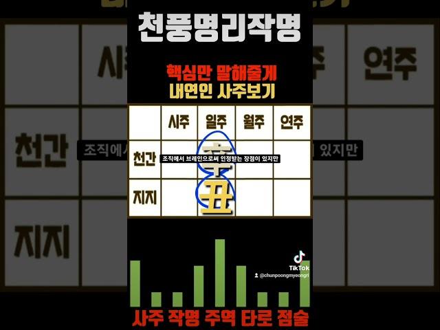 내 연인 사주보기 ft.신축일주