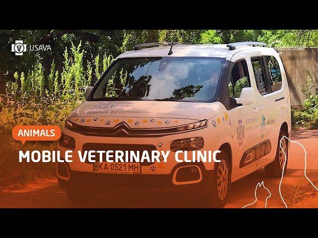 AVMF & UVMF mobile veterinary clinic: saving animals in Ukraine together