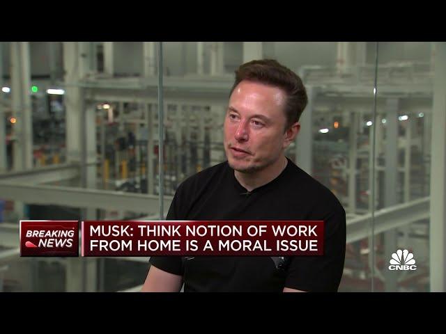 Tesla CEO Elon Musk: 'The laptop class is living in la-la land' over work-from-home