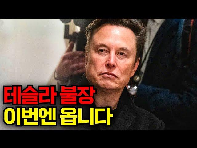 테슬라 불장 이번엔 옵니다