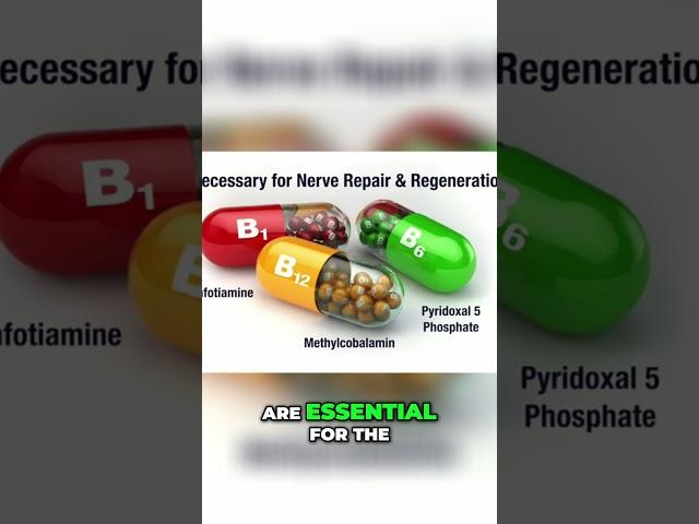 Vital Nutrients for Nerve Damage Recovery: The Essential B Vitamins