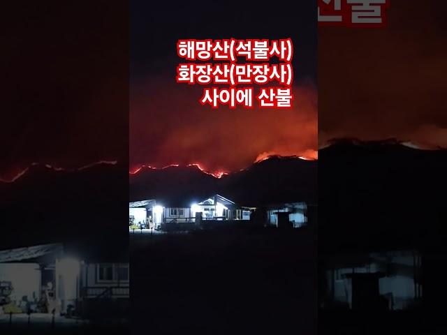 의성산불 끝없이 타는 불 #경상북도 #의성군#비안면 #소방방재청
