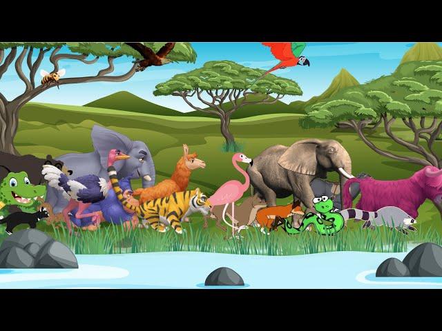 Animal Sounds Song The Animal Numbers Song | ABC Nursery Rhymes for Toddlers  Super Simple Song