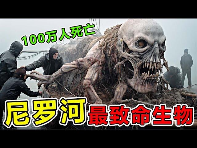 尼罗河“最致命”的10大生物，第一名每年导致100万人死，科学家称为人类屠夫#top10 #科普 #動物世界 #世界之最 #非洲 #地球最top #animals