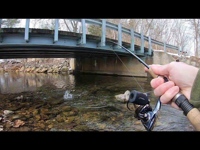 TROUT LOVE THIS BAIT! (Creek Fishing)