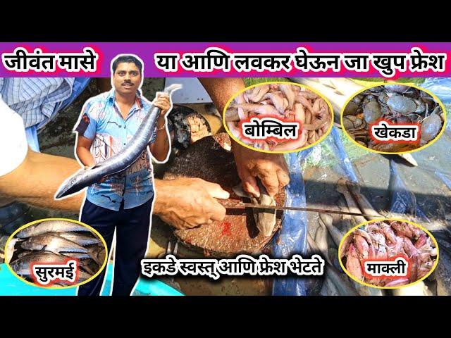 जीवंत मोठे मोठे मासे l Thane fish market l chepest fish market l wholesale market #fishmarket