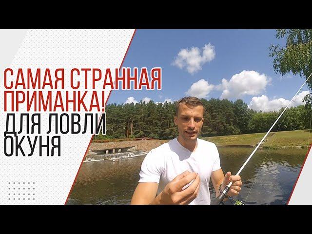 Супер приманка для окуня. Ловля окуня. Самая съедобная резина!!!