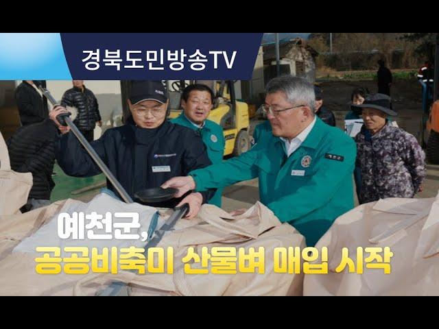 [경북도민방송 김유하] 예천군 공공비축미 산물벼 매입 시작