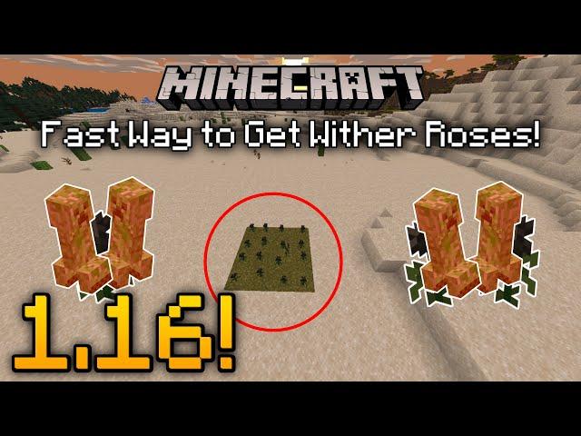 How to Get WITHER ROSES FAST in Minecraft 1.16! | Windows 10 MCPE Xbox One PS4