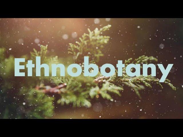 What is Ethnobotany?