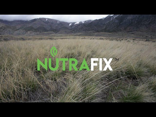 (1) NutraFix - Coldwater Wildlife Management Area - Honeyville, Utah