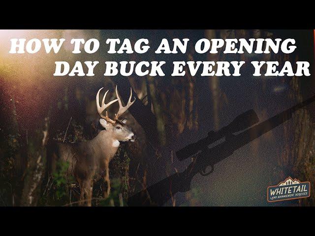 HOW TO TAG OUT EVERY YEAR | GUN SEASON