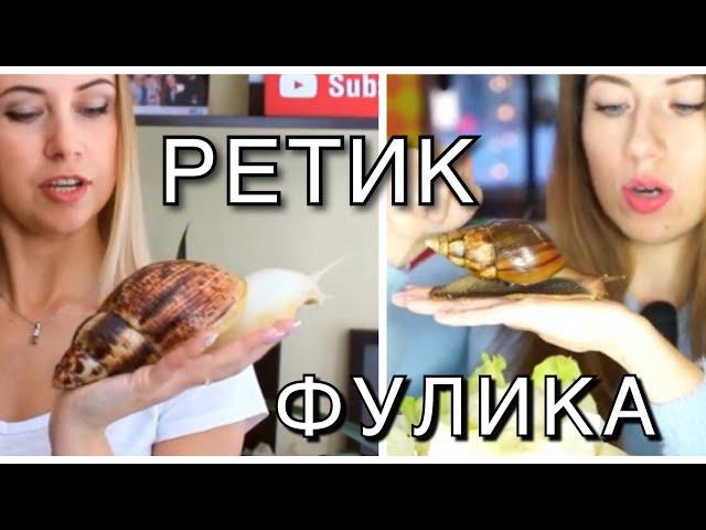 УЛИТКА Elli Di НЕ ВЫРАСТЕТ. МОЙ РЕТИК & ФУЛИКА Elli Di