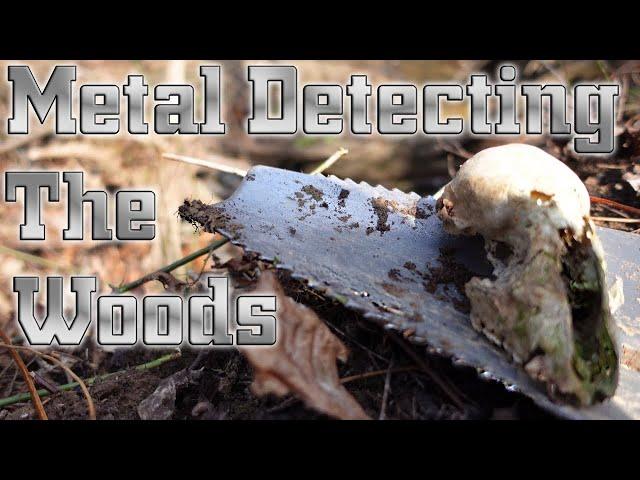 Metal Detecting 1800s Homesites with Equinox and Simplex | Big News Announced