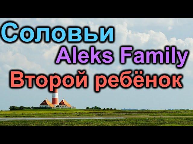 Соловьи и Aleks Family in USA. Второй ребенок. Строительство дома