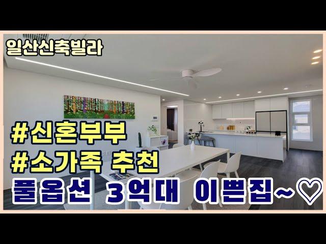 [일산신축빌라] 일산에서 찾기힘든 3억대 풀옵션 빌라 화이트인테리어의 이쁜집 [성석동신축빌라]