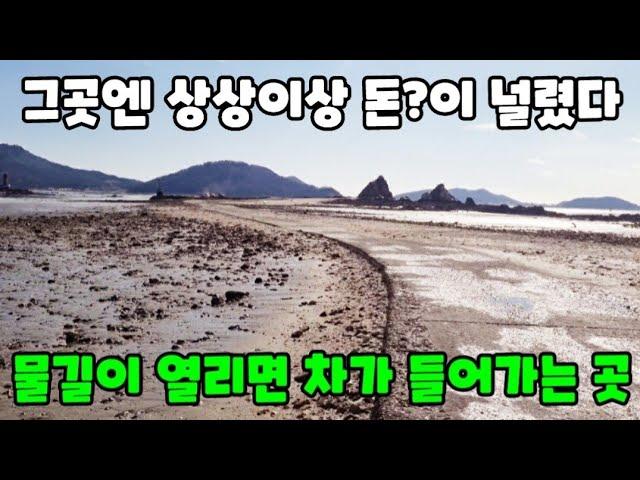 상상이상 싱싱한 이것(?)이 널려 있어서 그냥 주워도 만통! + 먹방