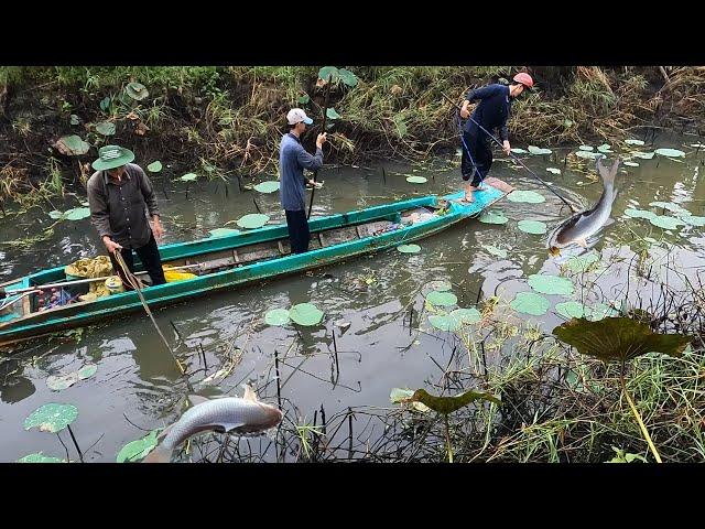 Kích Bẩy Rô Phi Cái Ao Bỏ Quên Nhiều Năm | Fishing In Vietnam