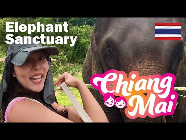 A Must Do?: Our Elephant Sanctuary Experience in Chiang Mai, Thailand 