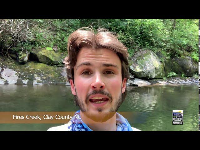 On the Road with Riley - Fires Creek in Clay County, NC