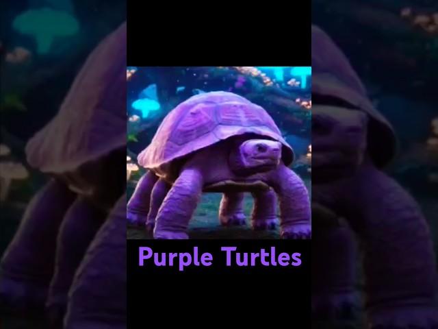 Are Purple Turtles Real?  #shorts #turtle (Made with: #DreamScreenAI & #CapCut)