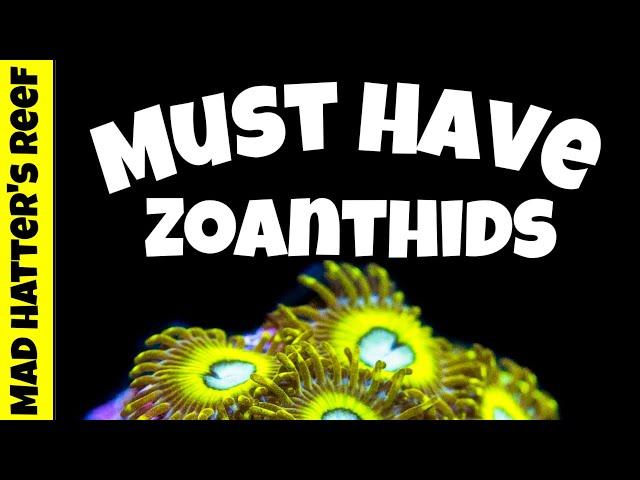 Top 10 Must Have Zoanthids