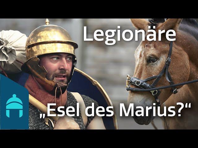 Der römische Legionär und seine Ausrüstung - Maultier des Marius? | ROM IN WESTFALEN 03