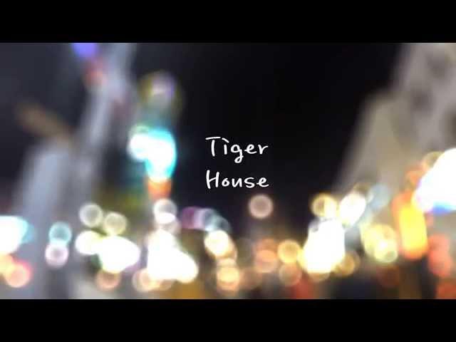 Welcome to Tiger House(Itaewon guest house)