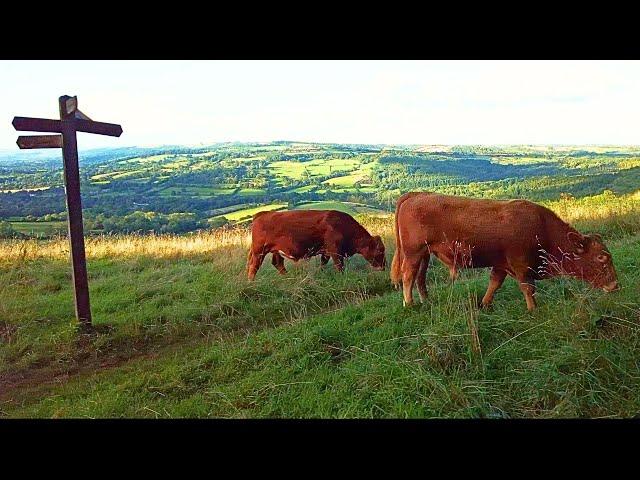 Walking the Entire Cotswold Way - Dowdeswell to Leckhampton Hill