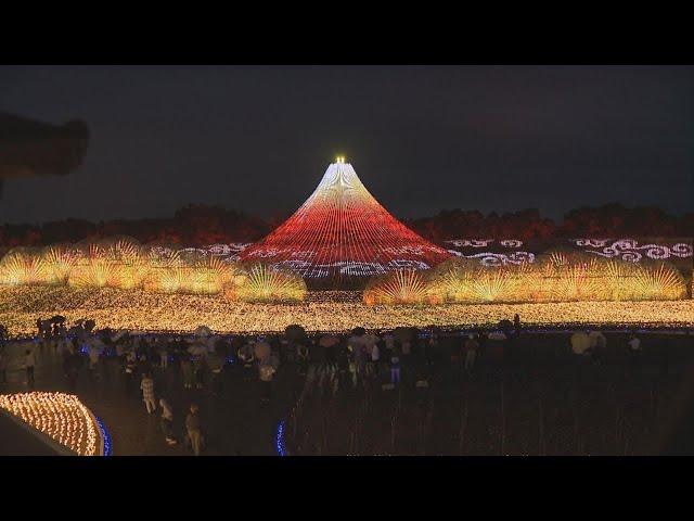 「なばなの里」イルミネーション　今年のメイン会場のテーマ「名峰富士」　新たなトンネル「海さくら」も登場　　三重・桑名市