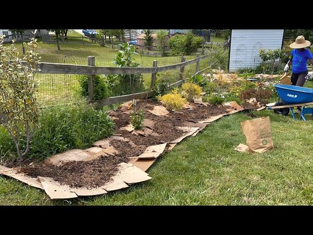 How to Sheet Mulch a Garden Bed