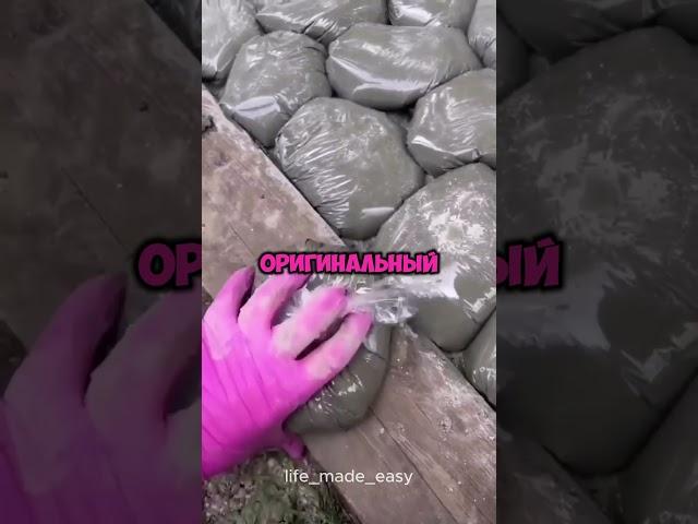 Создайте уникальную дорожку за один день!  #ландшафтныйдизайн #дом #дача #цветы #сад