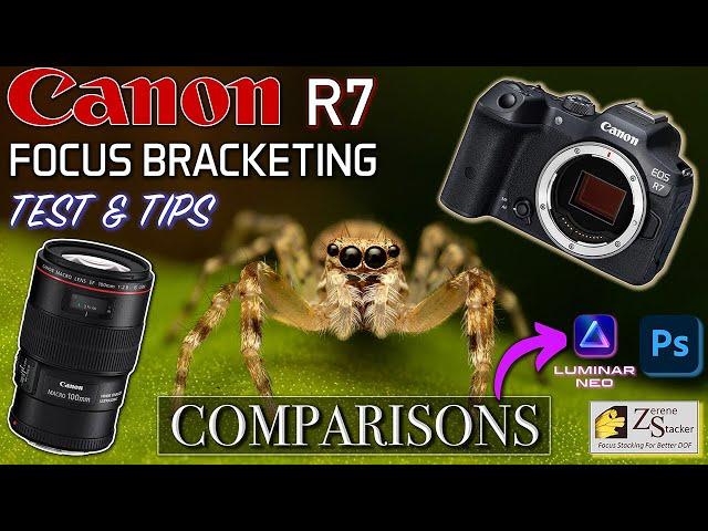 CANON R7 Focus Bracketing REVIEW for MACRO: Hand-held vs Tripod Shots  | Depth Composite Viability