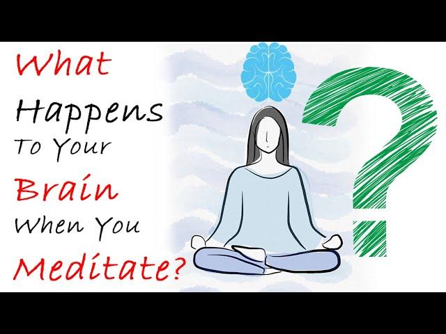 What Happens To Your Brain When You Meditate? | MendMind