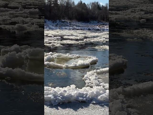 ice floats down the river