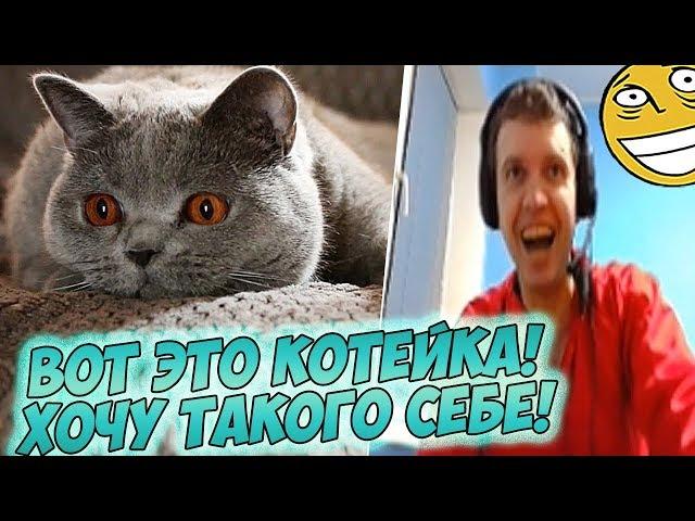 ПАПИЧ СМОТРИТ ОБОИ! КОТИК МИКРОЧЕЛИК!