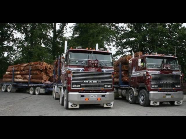 'Midnite Hustler' and some others from Bulldog Haulage Ltd (NZ)