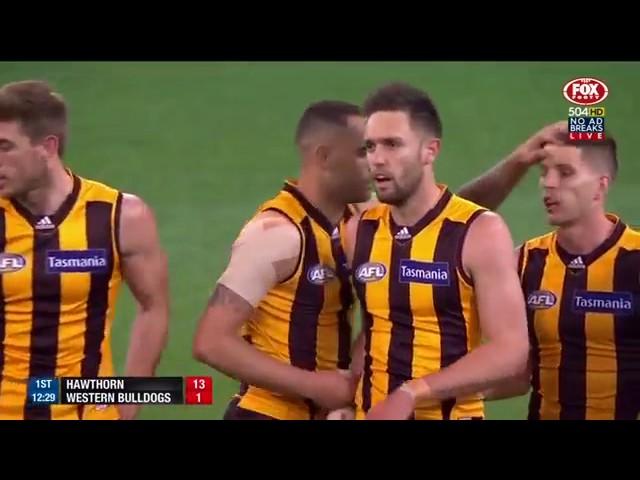 Hawthorn Hawks vs Western Bulldogs (AFL 2016 2nd Semi Final )