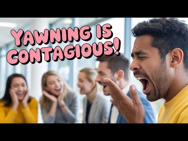 “Why Do We Yawn When Others Do? | The Strange Science Behind Contagious Yawning”