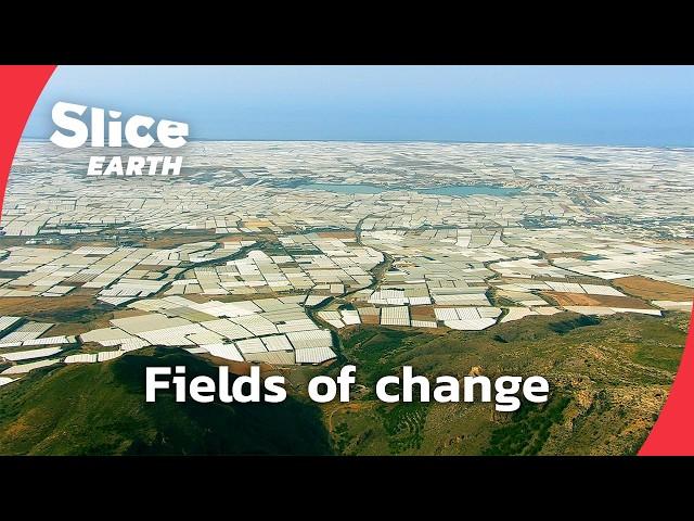 How will Europe feed its 500 million inhabitants? | SLICE EARTH | FULL DOC