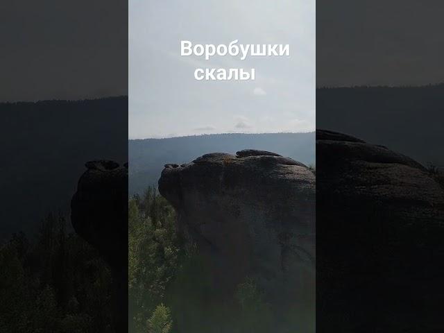 Жаба или Цыпа #trip #прогулка #столбы #shorts #экскурсия_красноярск