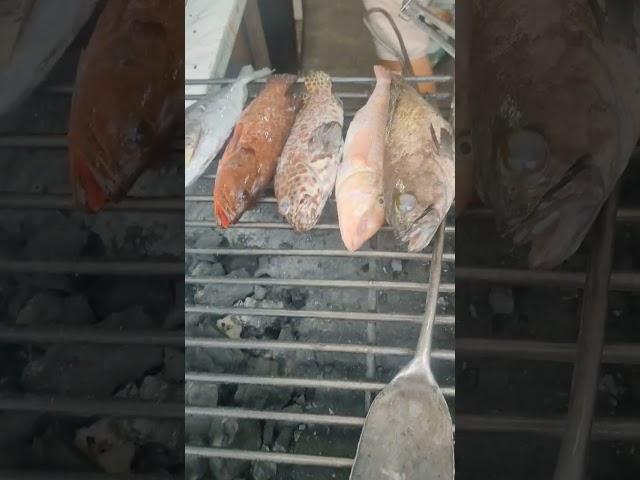 #short Macam macam ikan bakar