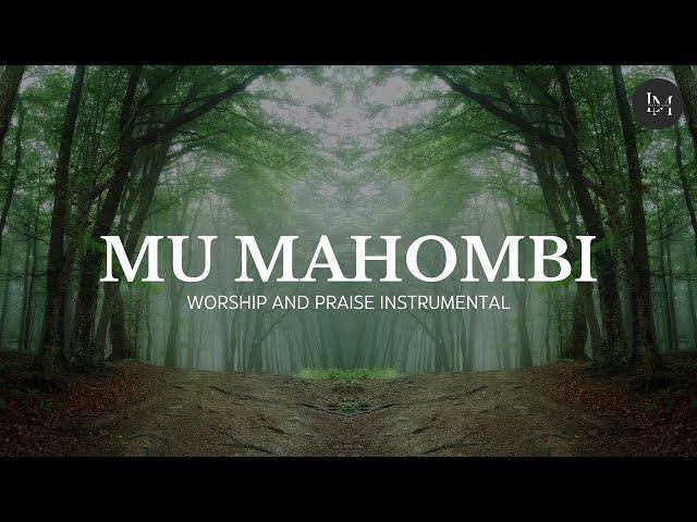 PRAYER OF INTERCESSION (INSTRUMENTAL VERSION) | MU MAHOMBI (Daniel Lubams) | LESS IS MORE MUSIC