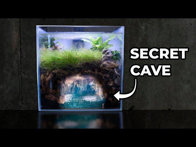 I Made An UNDERGROUND CAVE Fish Tank