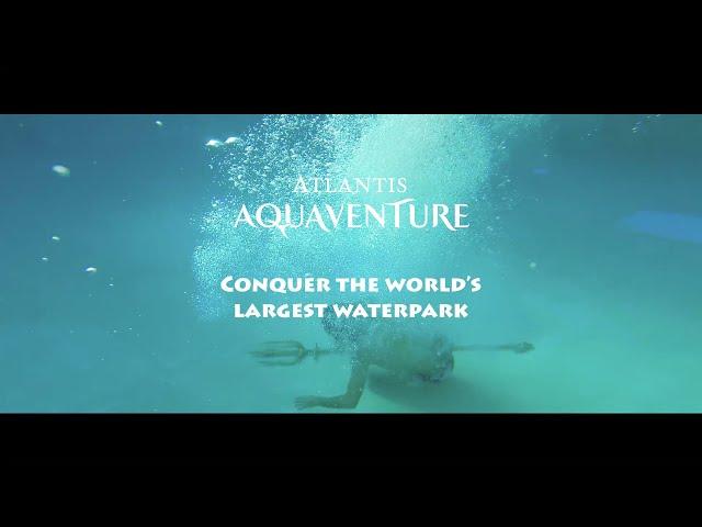 The World’s Largest Waterpark │Atlantis Aquaventure