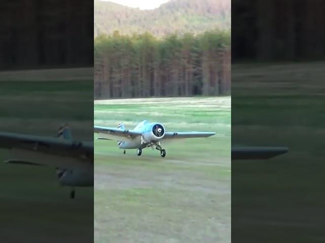 Awesome rc plane landing #rcplane #rcwarbird #rcengine #wildcat