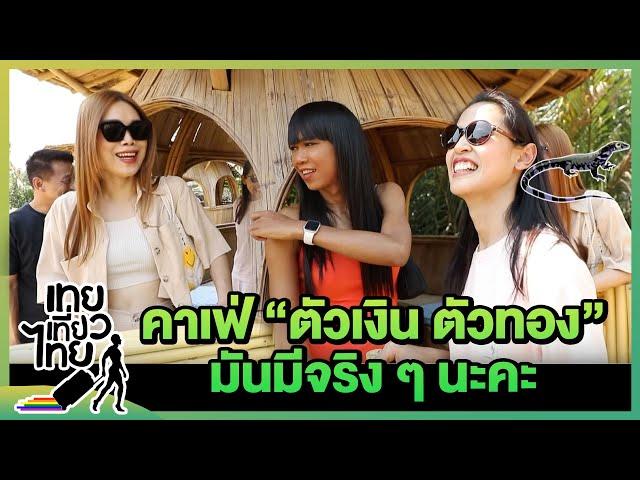 คาเฟ่ "ตัวเงิน ตัวทอง" มันมีจริงๆนะ! | เทยเที่ยวไทย